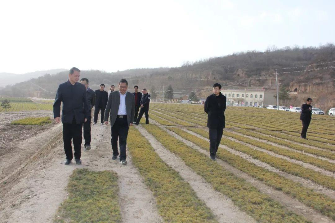 甘肅省林業(yè)廳最新事件,甘肅省林業(yè)廳最新事件之我見