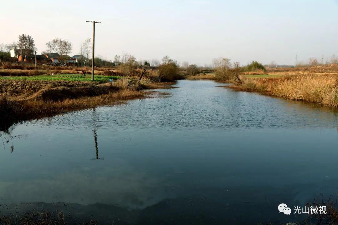 光山九龍中路最新動態(tài)與小日常趣事揭秘