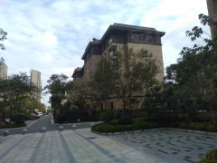 南辰濠郡最新動(dòng)態(tài)與溫馨日常