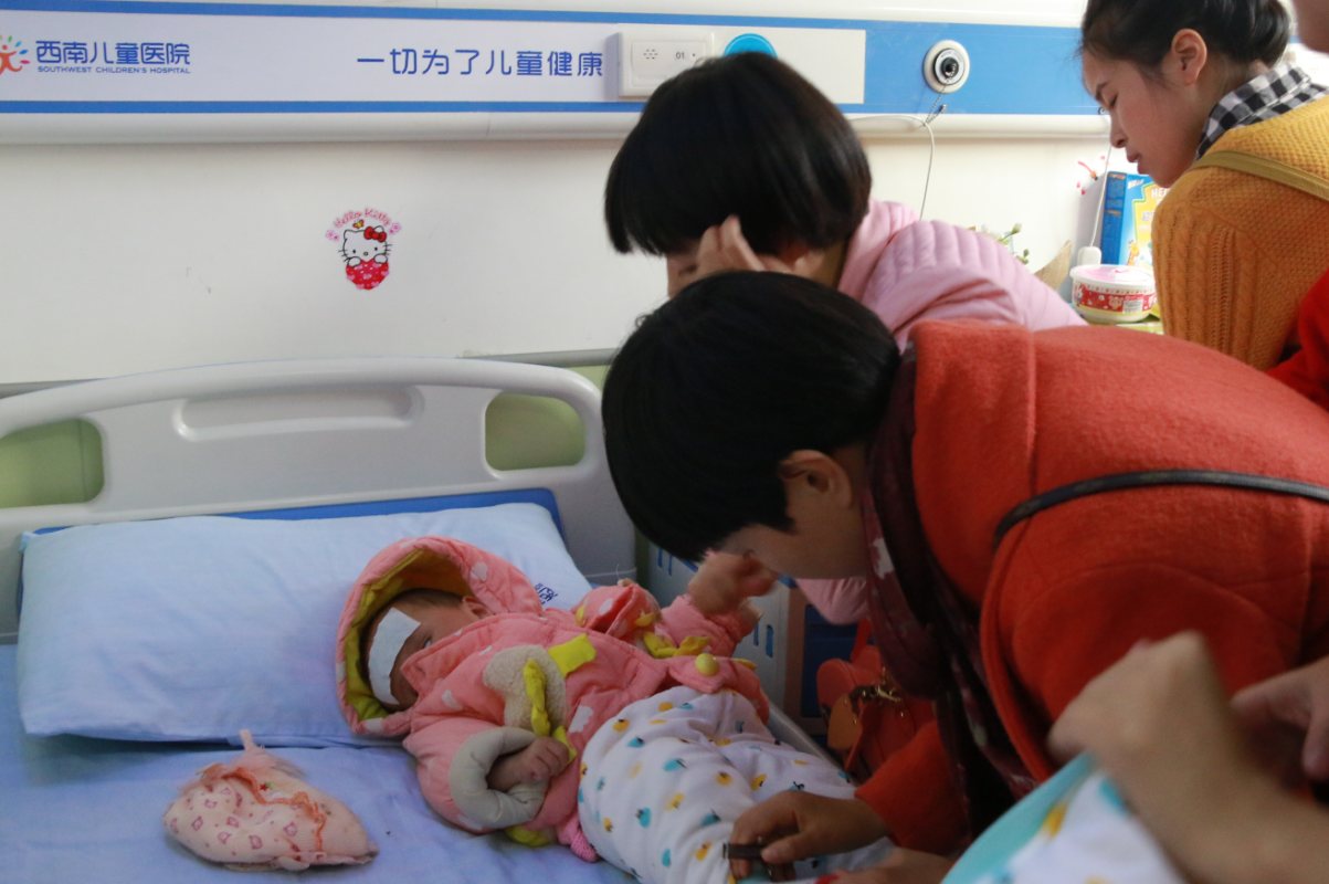 一歲女嬰小白羊現(xiàn)象最新觀察與觀點(diǎn)論述