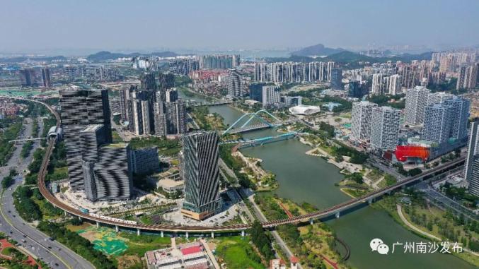 南沙上市公司的日常趣事概覽