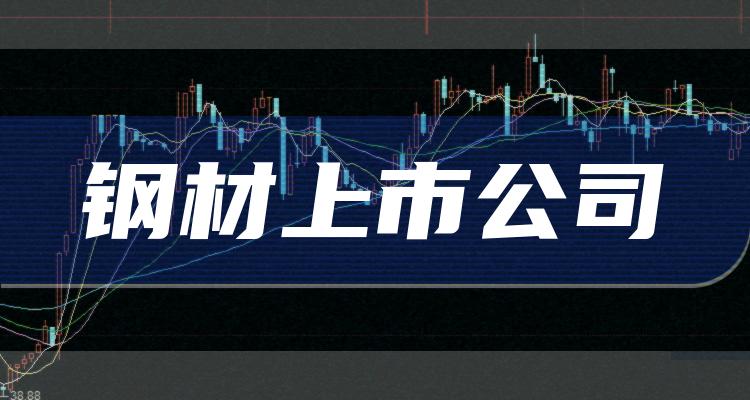 鋼管上市公司行業(yè)概覽與未來(lái)發(fā)展趨勢(shì)分析