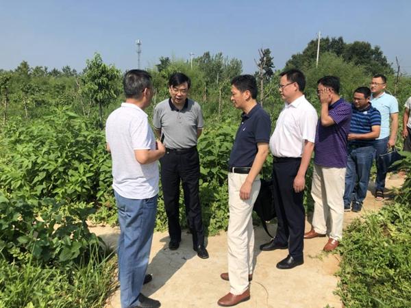 霍邱縣教育局最新公告及觀(guān)點(diǎn)論述揭秘