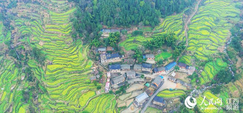 南昌灣里牛嶺最新動態(tài)與溫馨日常