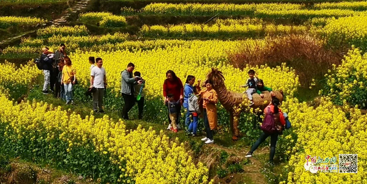 南昌灣里牛嶺最新動態(tài)與溫馨日常