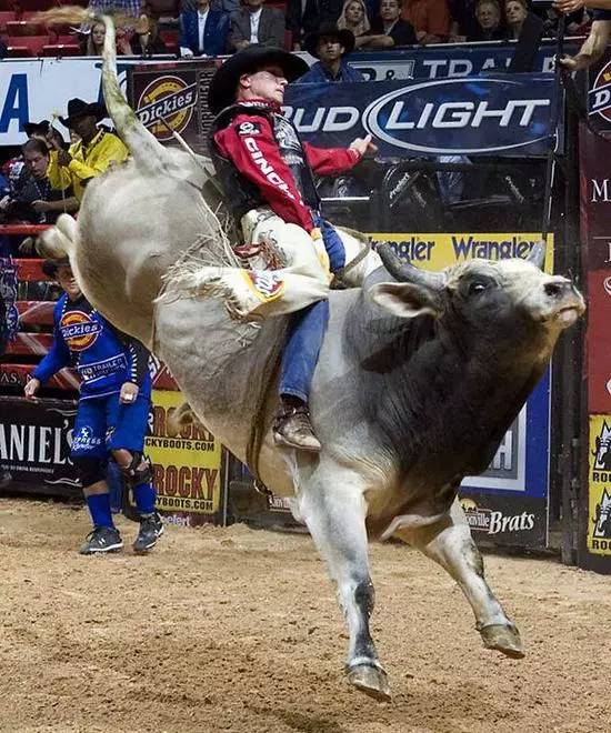 騎牛比賽的奇妙規(guī)則與家庭溫馨時(shí)光