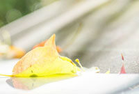 恐怖男生頭像動漫及其創(chuàng)作指南