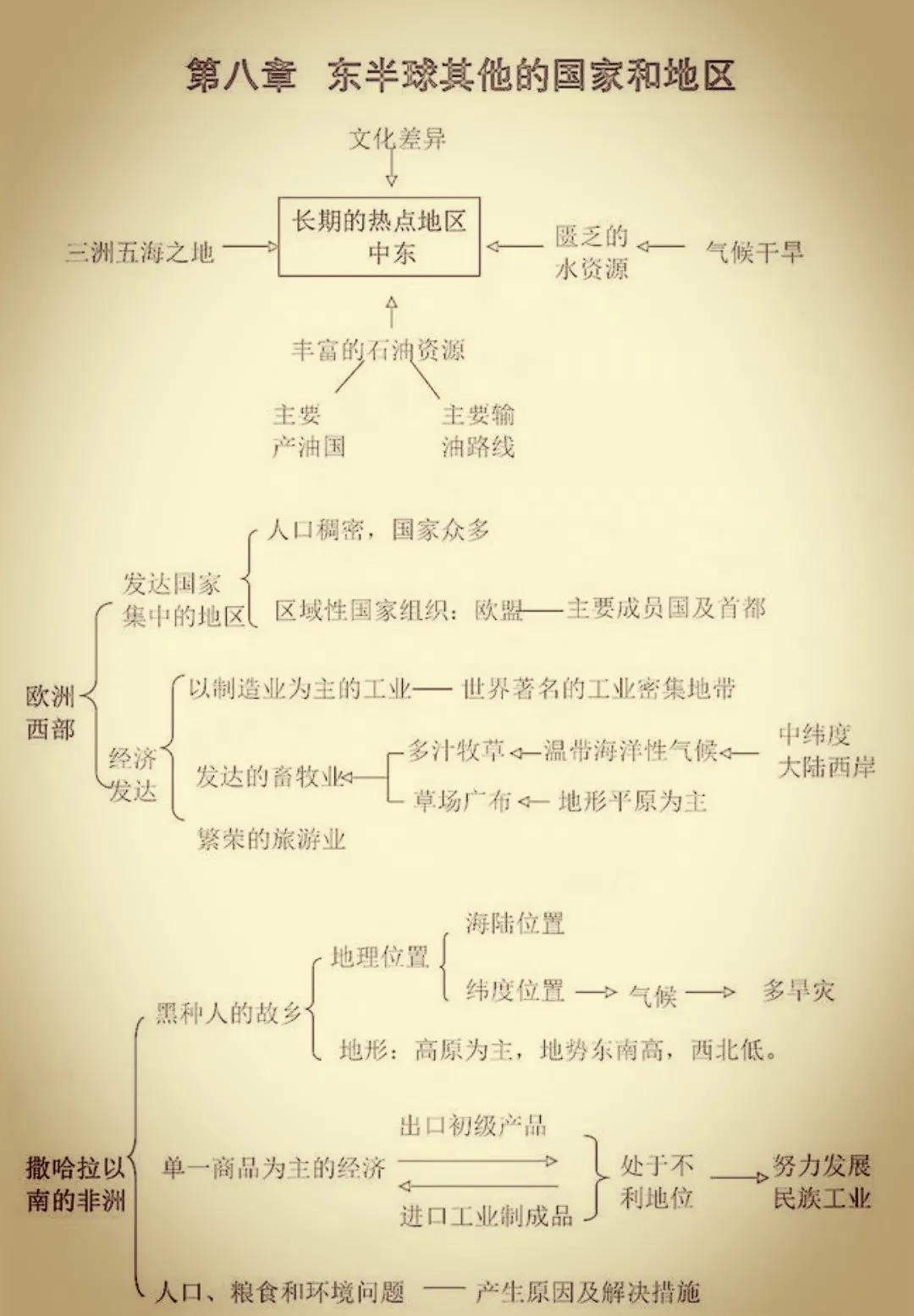 初中地理與友情的探索之旅，奇妙旅程揭秘