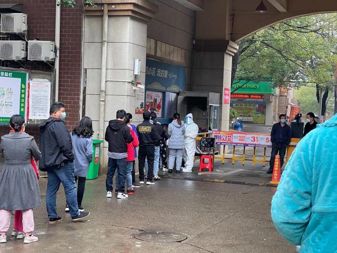 常德最新疫情動態(tài)與探索自然美景之旅